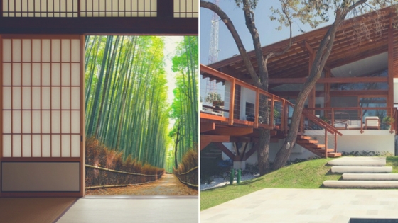 bamb�, material de construcci�n