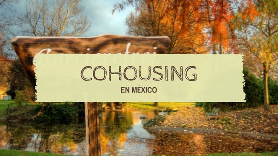 cohousing en m�xico