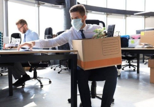 no recibi notificaci�n