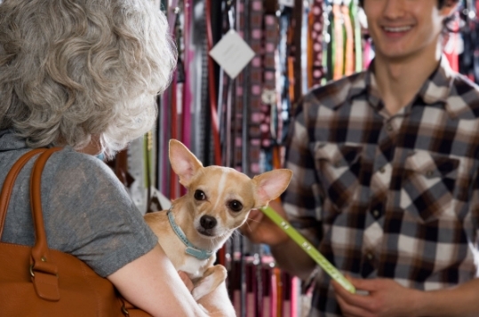�qu� significa el t�rmino pet friendly?