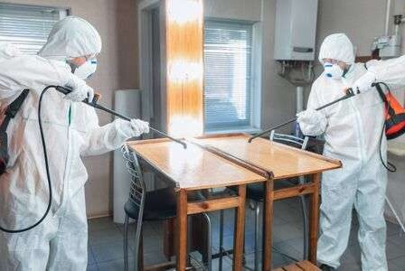 la desinfecci�n del �rea